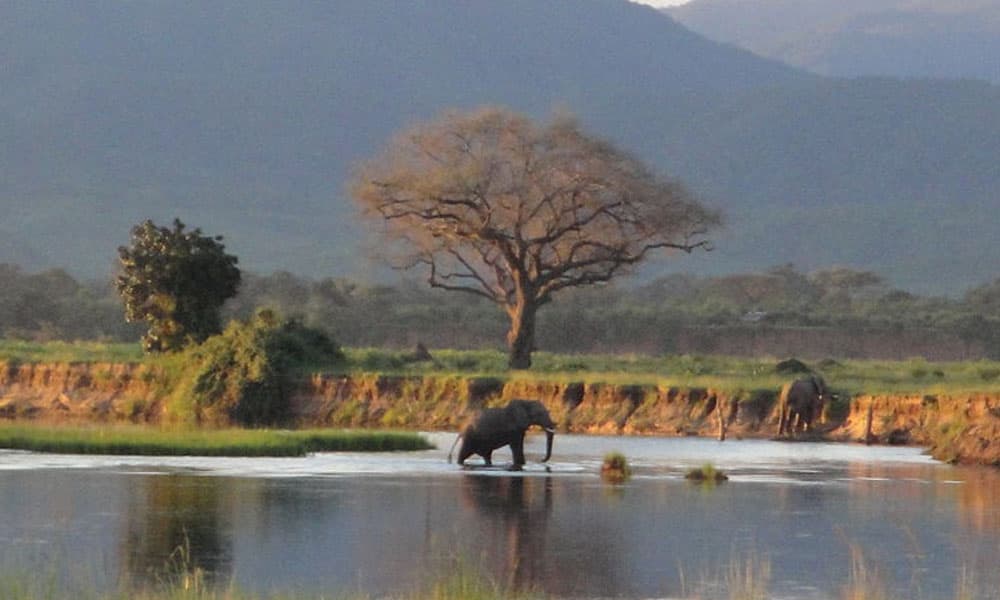 Mana Pools National Park